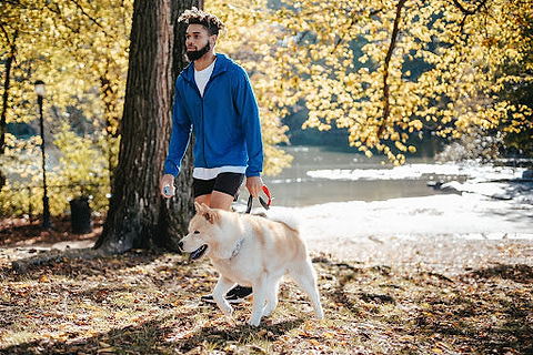 Man walking his dog in the fall