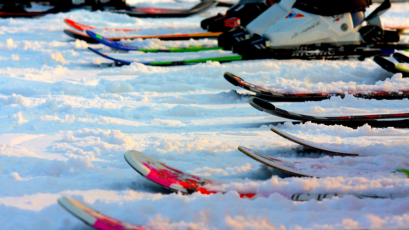 close up of the skis of skiers lined up in a row. | Heat Holders® thermal midlayers