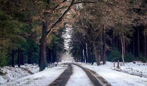 A snowy road through a forest. Heat Holders® No More Cold Feet!®