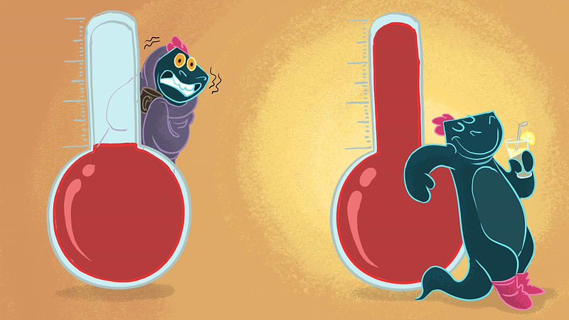 Toestie the Dragon looking cold beside a low thermometer and warm beside a thermometer showing a high temp