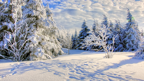 Beautiful, snowy scene.