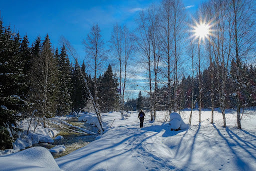 A person on a cold weather hike through a snowy forest