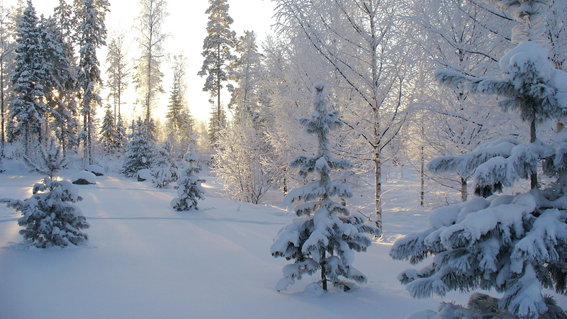 The Best Socks for Snowy Weather: Keep Your Feet Warm and Dry!
