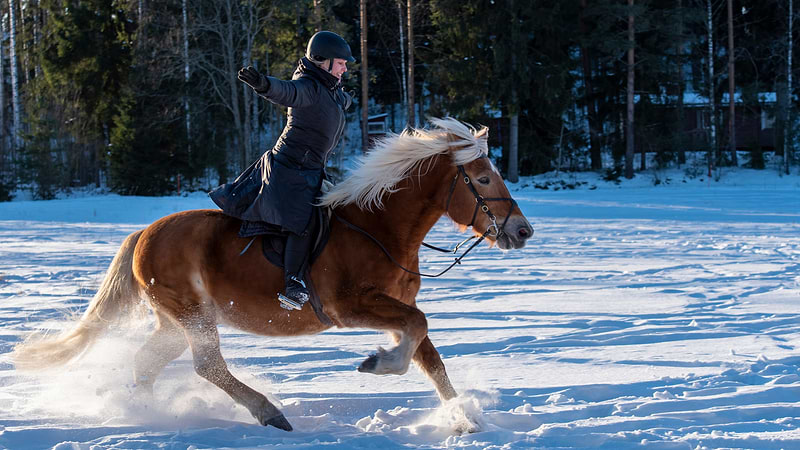 What to Wear Horseback Riding in the Winter