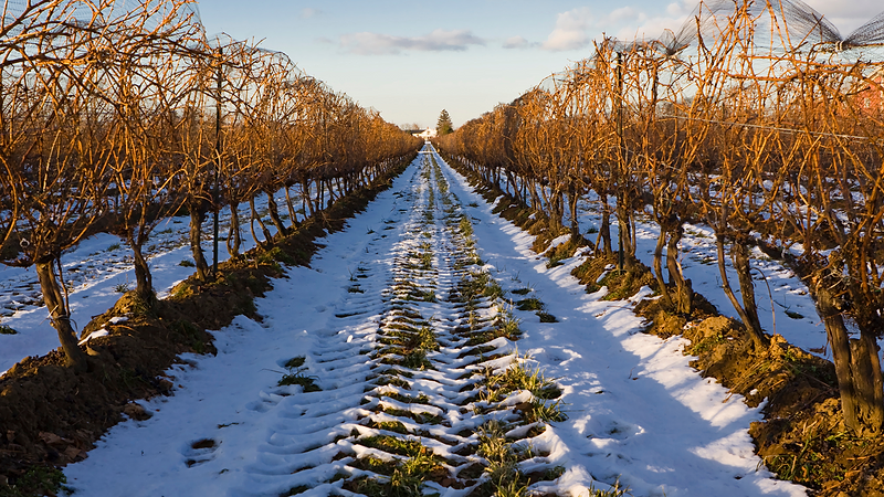 What to Wear to a Winery in the Winter