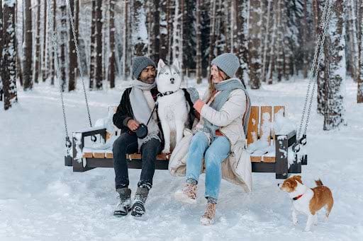 Couple and their dog sit on a swing bench in the winter, with another dog at their feet. | Heat Holders® Warmest Thermal Socks