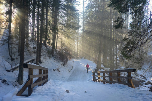 A person walks in a beautiful forest in winter. | Heat Holders® headgear, hats, and beanies