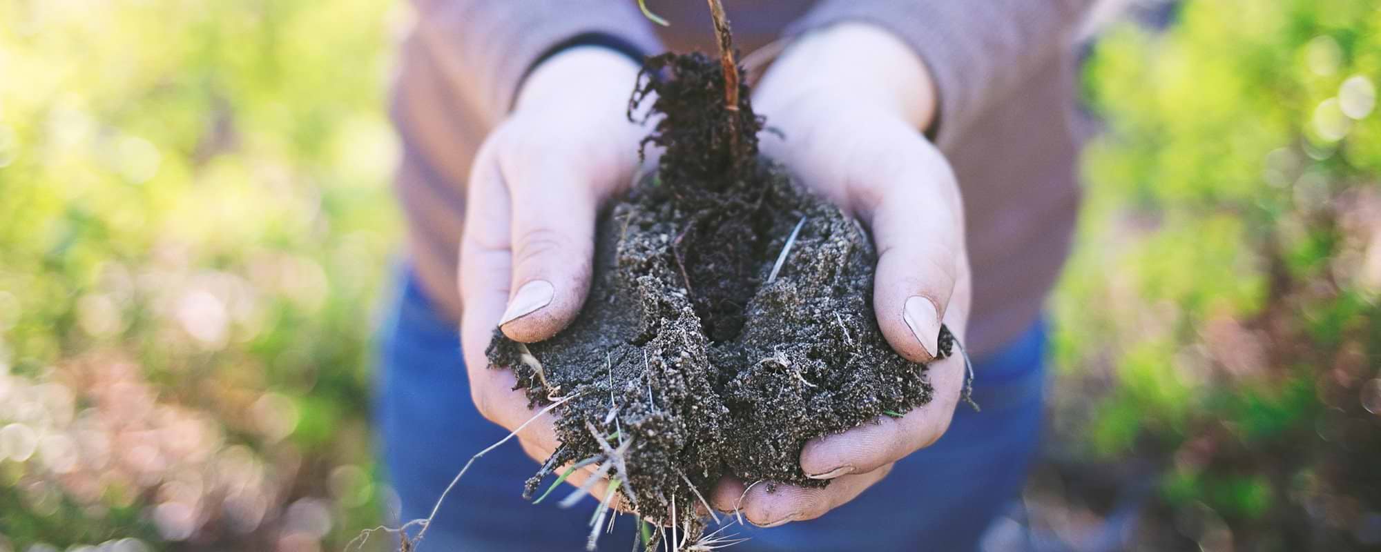 Latest MiaDonna News