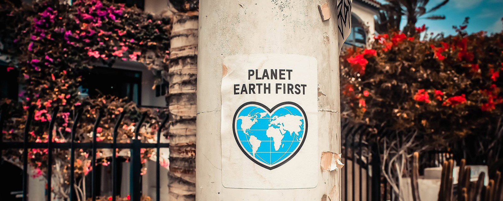 Benefits of Lab Grown Diamonds: Ethical & Sustainable Jewelry