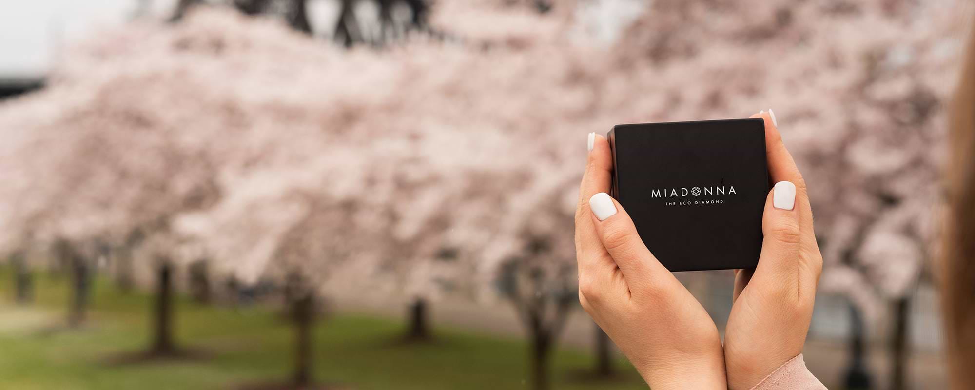 Creative & Romantic Engagement Plans: At-Home Proposal Ideas