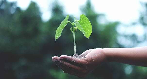 Why are Lab Grown Diamonds Better For the Planet?