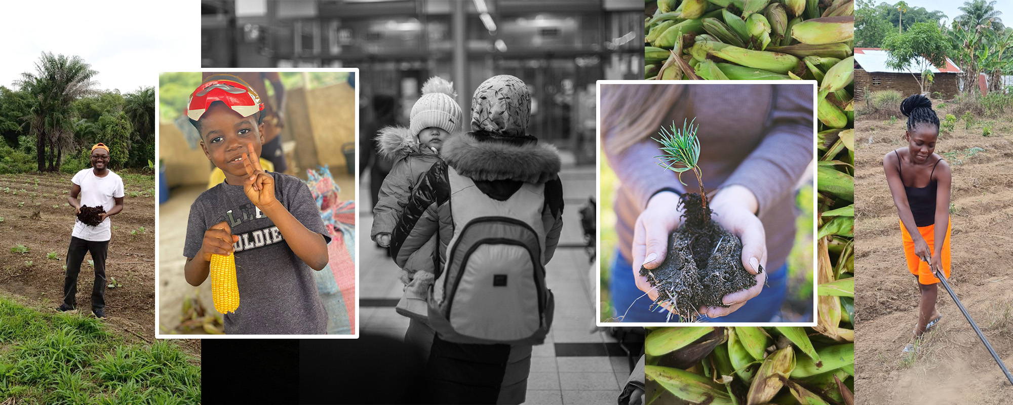 2022 Miadonna Year-End Review & Impact Report