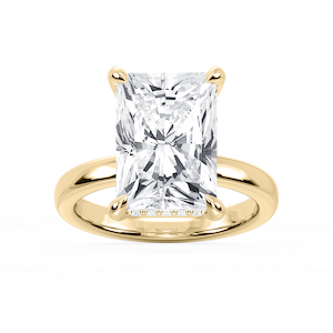 Donna Radiant Lab Grown Diamond Claw Prong Hidden Halo Engagement Ring