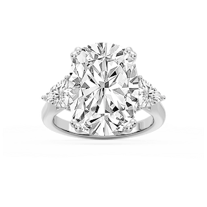 Signature Collection