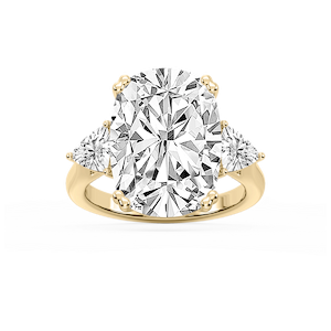 Meghan 16 ctw Elongated Cushion Lab Grown Diamond Three Stone Engagement Ring - Signature Collection