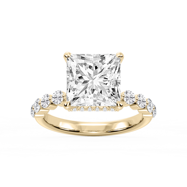 Melody Princess Lab Grown Diamond Single Shared Prong Collar Hidden Ha ...