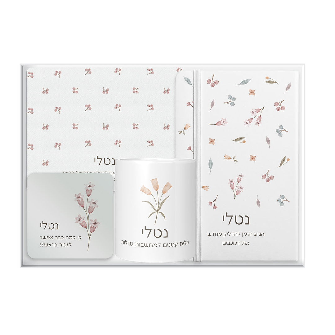 מארז מתנה - מחברת + פד לעכבר + כלי למכשירי כתיבה + קופסת דפי ממו - אביב