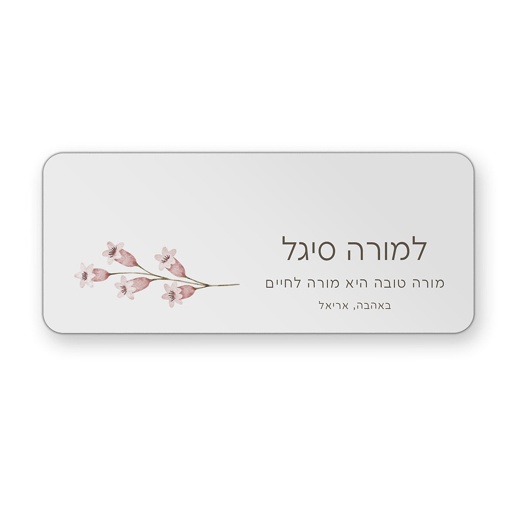 קלמר מתכת - אביב מורה