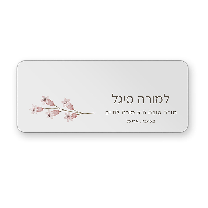 קלמר מתכת - אביב מורה