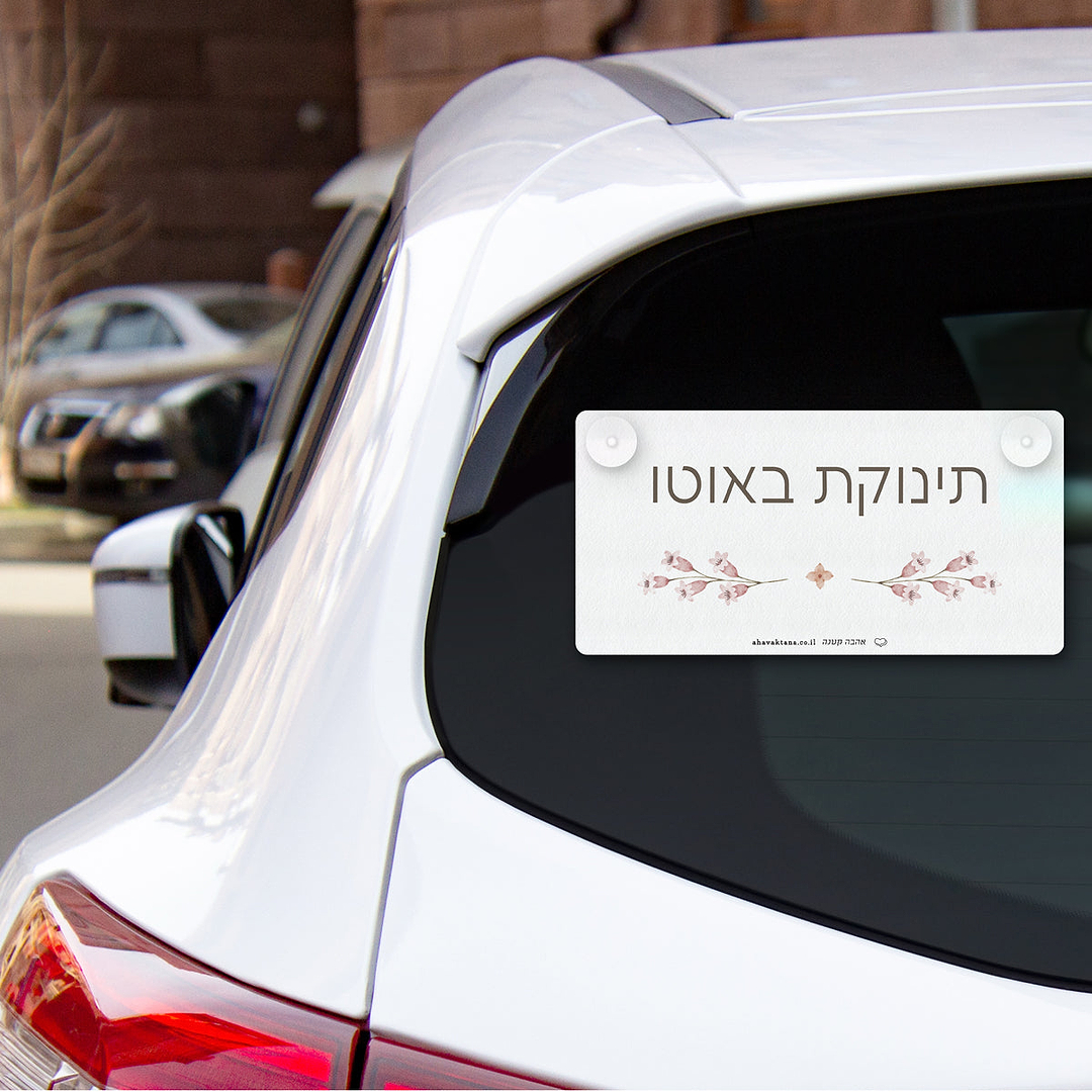 שלט לרכב - אביב