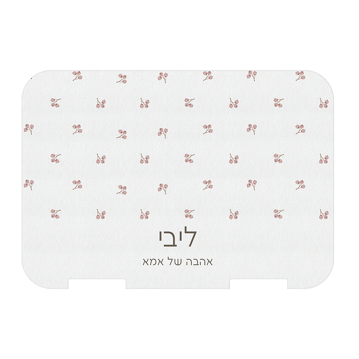 מדבקה לקופסת אוכל בנטו - אביב