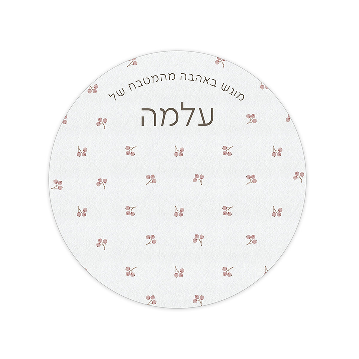 מארז מתנה למטבח ספר מתכונים + קופסת עוגיות + תחתית לסיר + מגנטים - אביב