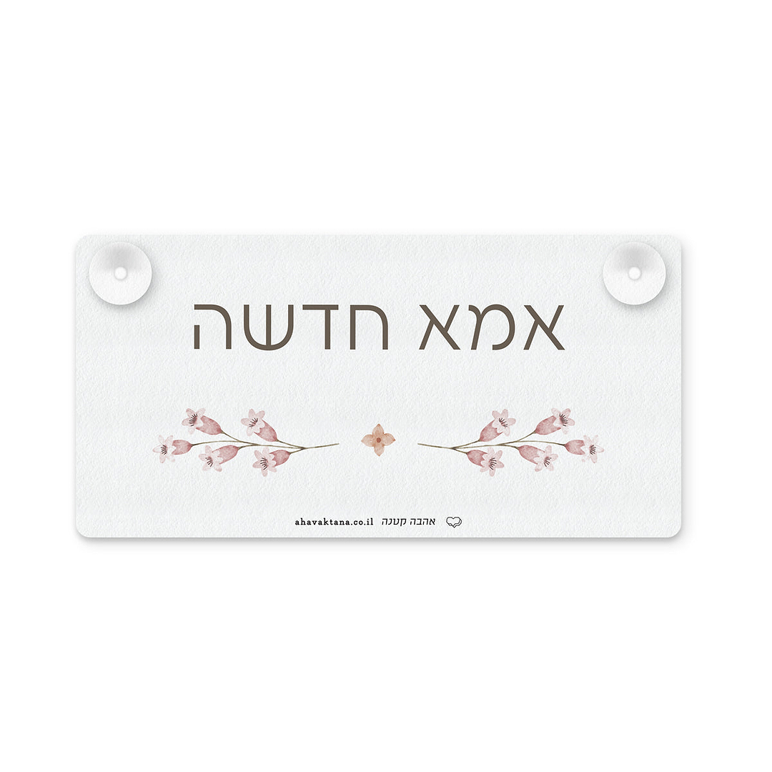 שלט לרכב - אביב