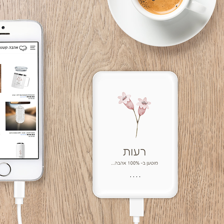 מטען נייד - אביב