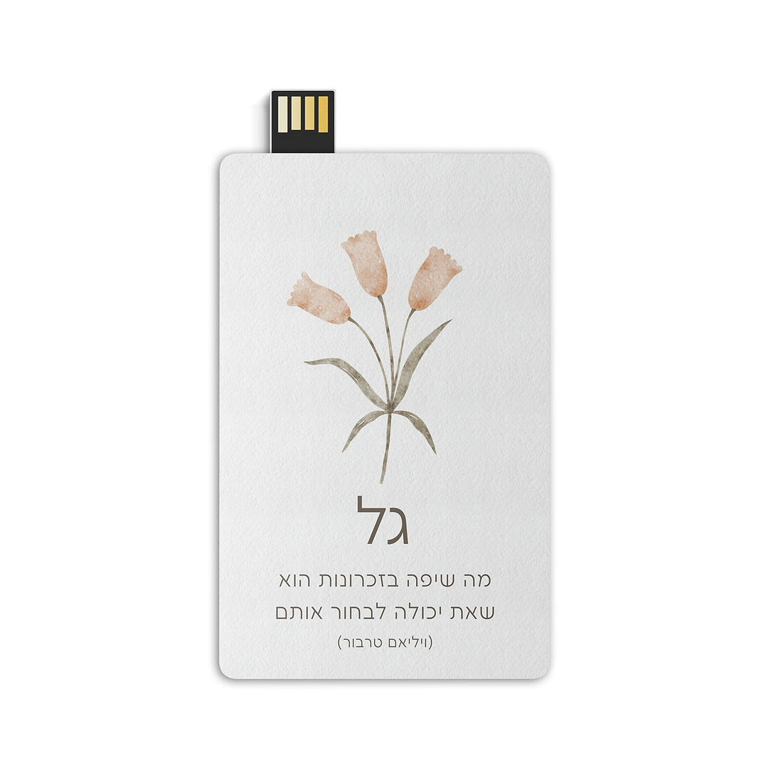 דיסק און קי - אביב