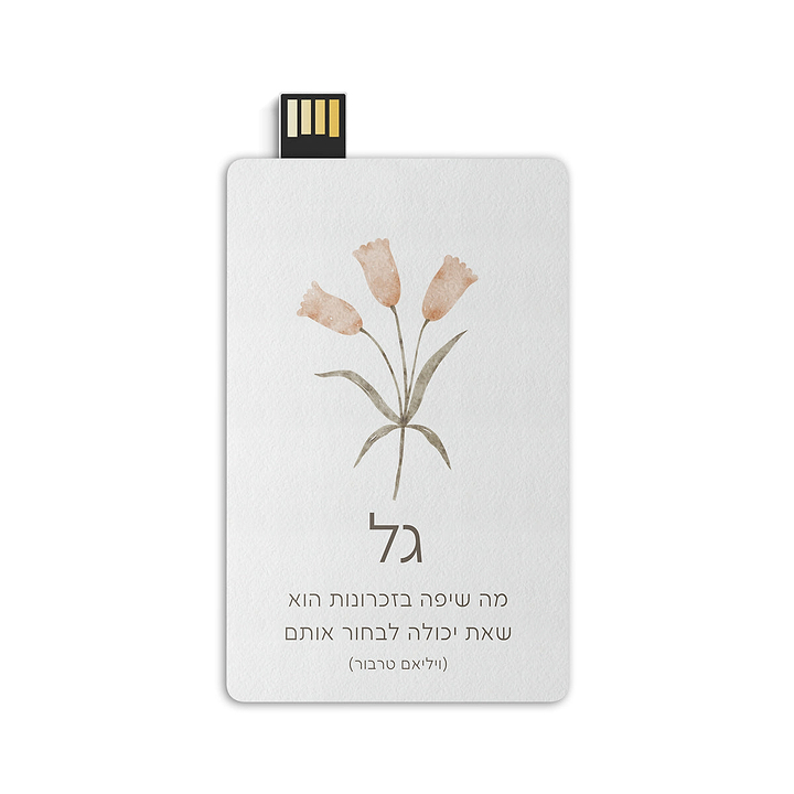 דיסק און קי - אביב