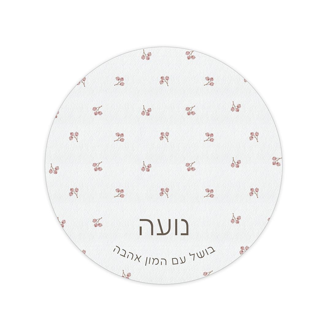 מארז מתנה למטבח ספר מתכונים + קופסת עוגיות + תחתית לסיר + מגנטים - אביב