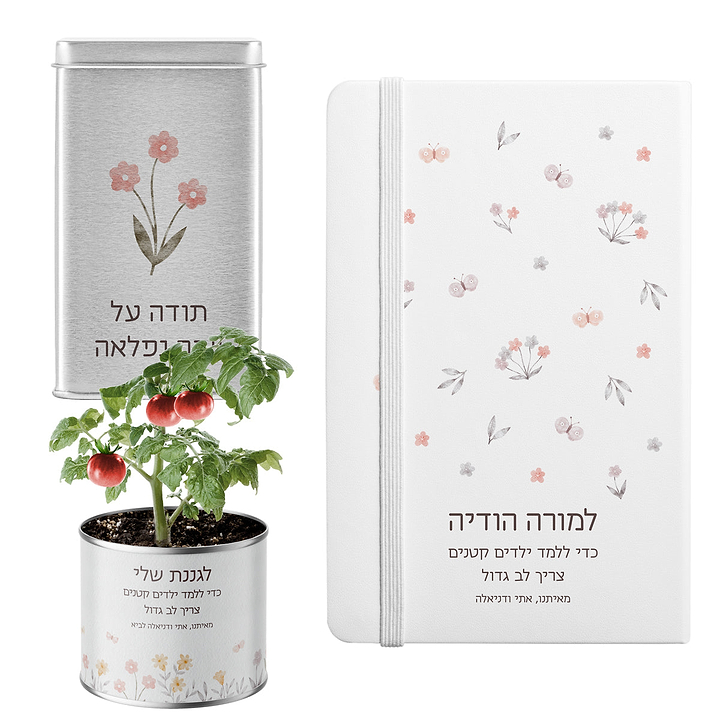 מארז מתנה למורה - מחברת - עציץ - מארז שוקולד - שלווה