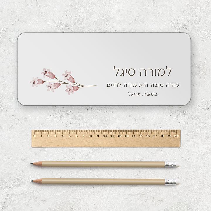 קלמר מתכת - אביב מורה