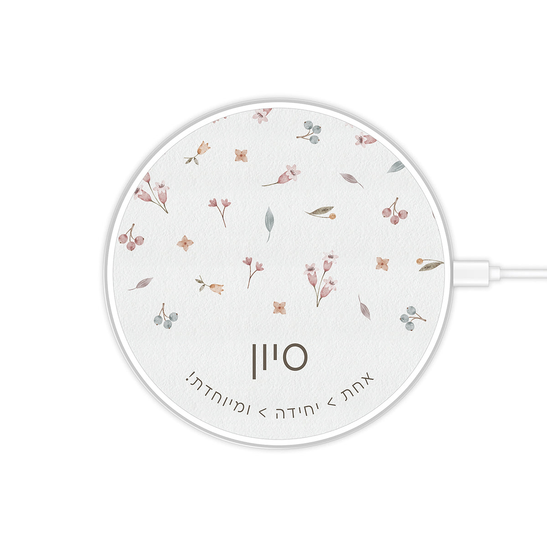 מטען אלחוטי - אביב