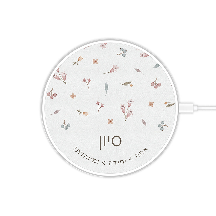 מטען אלחוטי - אביב