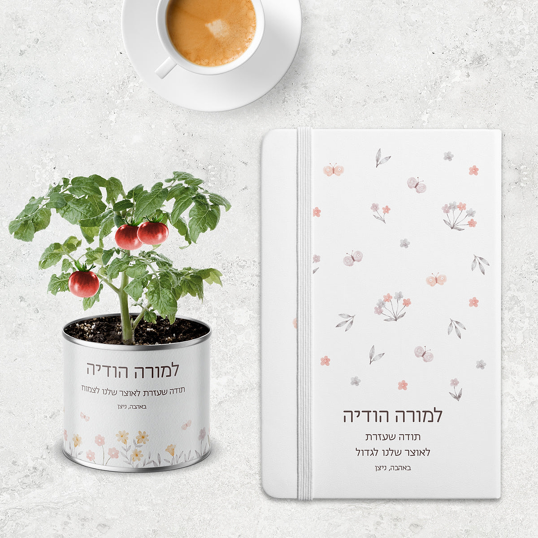 מארז מתנה למורה - מחברת - עציץ - שלווה