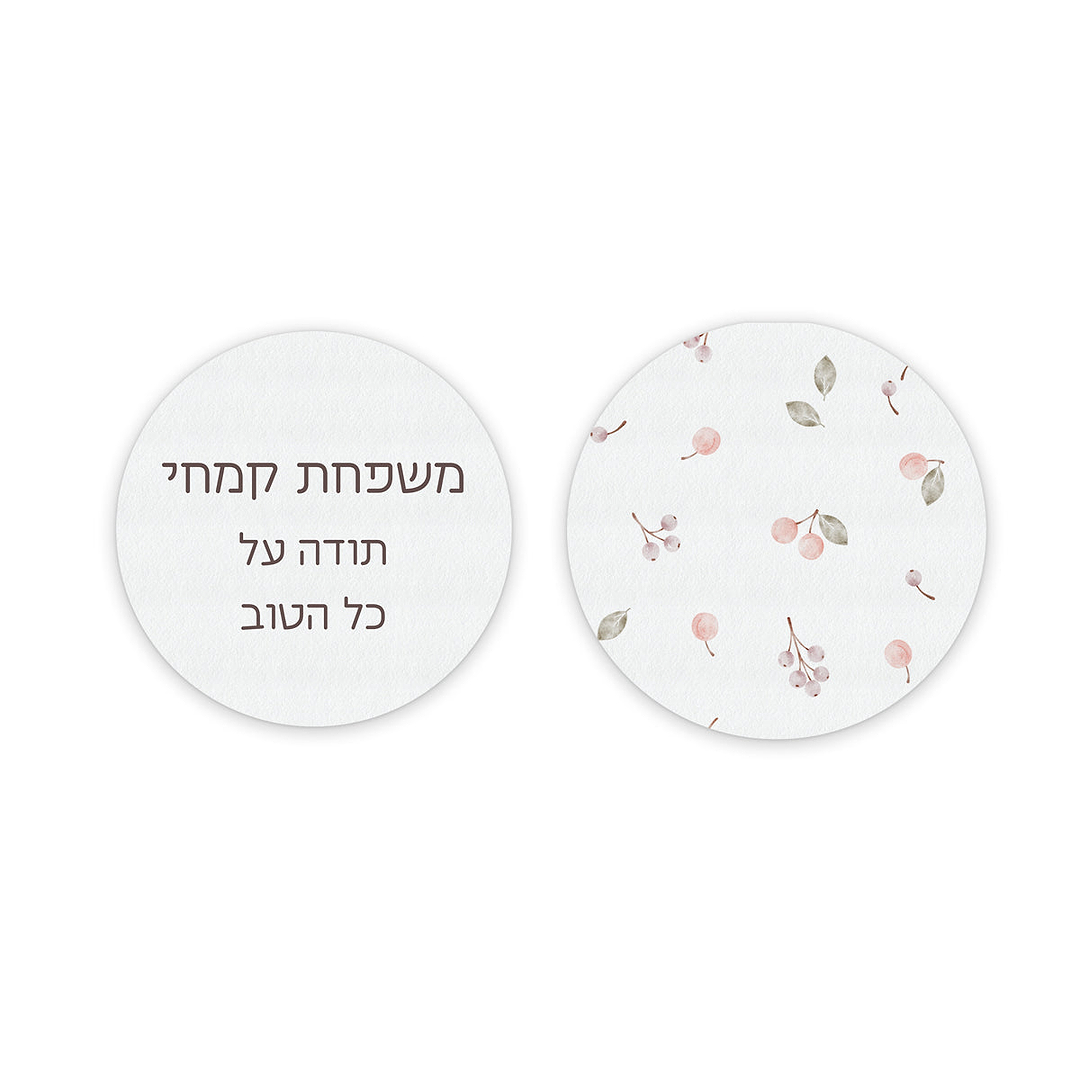 מארז פלאנר - תכנון חודשי - שלווה