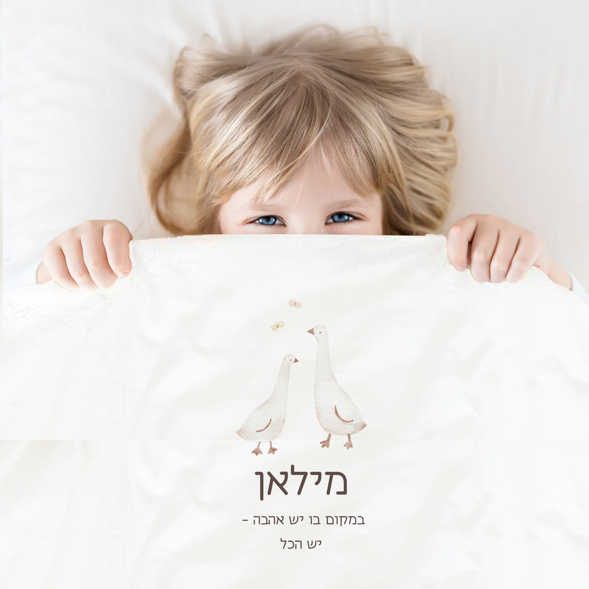 כירבולית - שלווה
