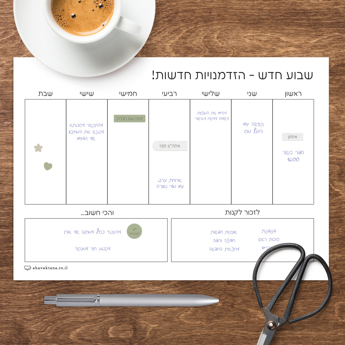 פלאנר - תכנון שבועי - קקטוס