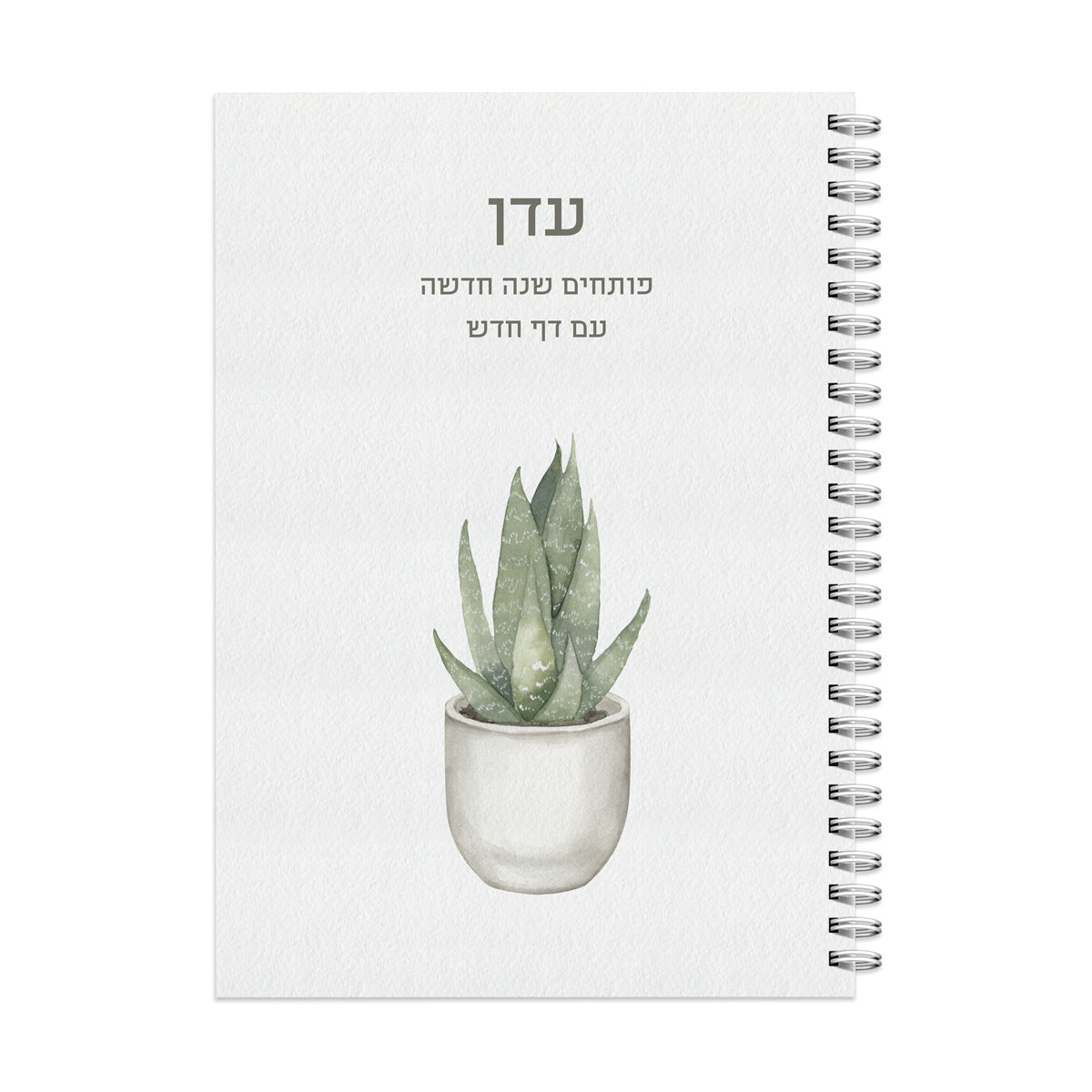יומן שבועי - קקטוס
