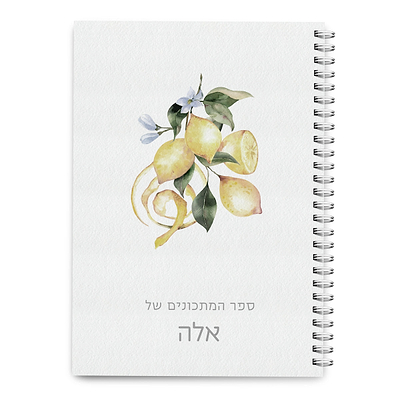 מארז מתנה - ספר מתכונים - מרית מעץ - מארז דבש ושוקולד מפנק - לימונדה