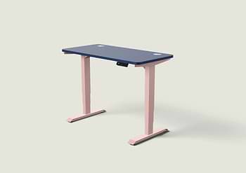 Lade das Bild in den Galerie-Viewer, HomePro Schreibtisch
