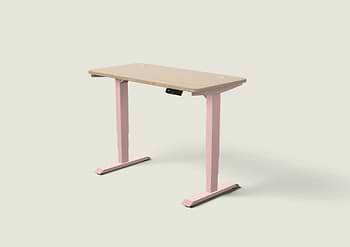 Lade das Bild in den Galerie-Viewer, HomePro Schreibtisch
