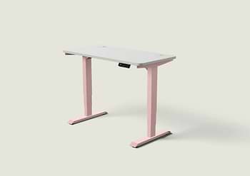 Lade das Bild in den Galerie-Viewer, HomePro Schreibtisch
