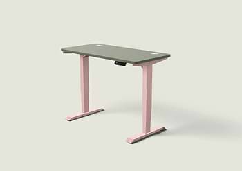 Lade das Bild in den Galerie-Viewer, HomePro Schreibtisch