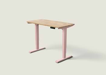 Lade das Bild in den Galerie-Viewer, HomePro Schreibtisch
