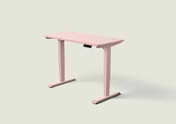 Lade das Bild in den Galerie-Viewer, HomePro Schreibtisch
