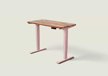 Lade das Bild in den Galerie-Viewer, HomePro Schreibtisch
