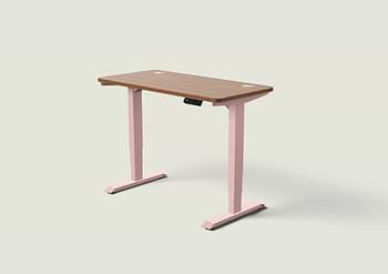 Lade das Bild in den Galerie-Viewer, HomePro Schreibtisch