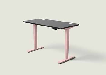 Lade das Bild in den Galerie-Viewer, HomePro Schreibtisch